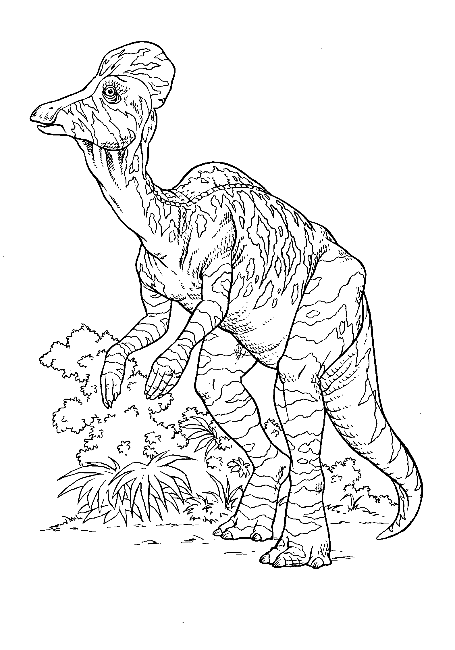 Malvorlagen Corythosaurus Malvorlagen Corythosaurus