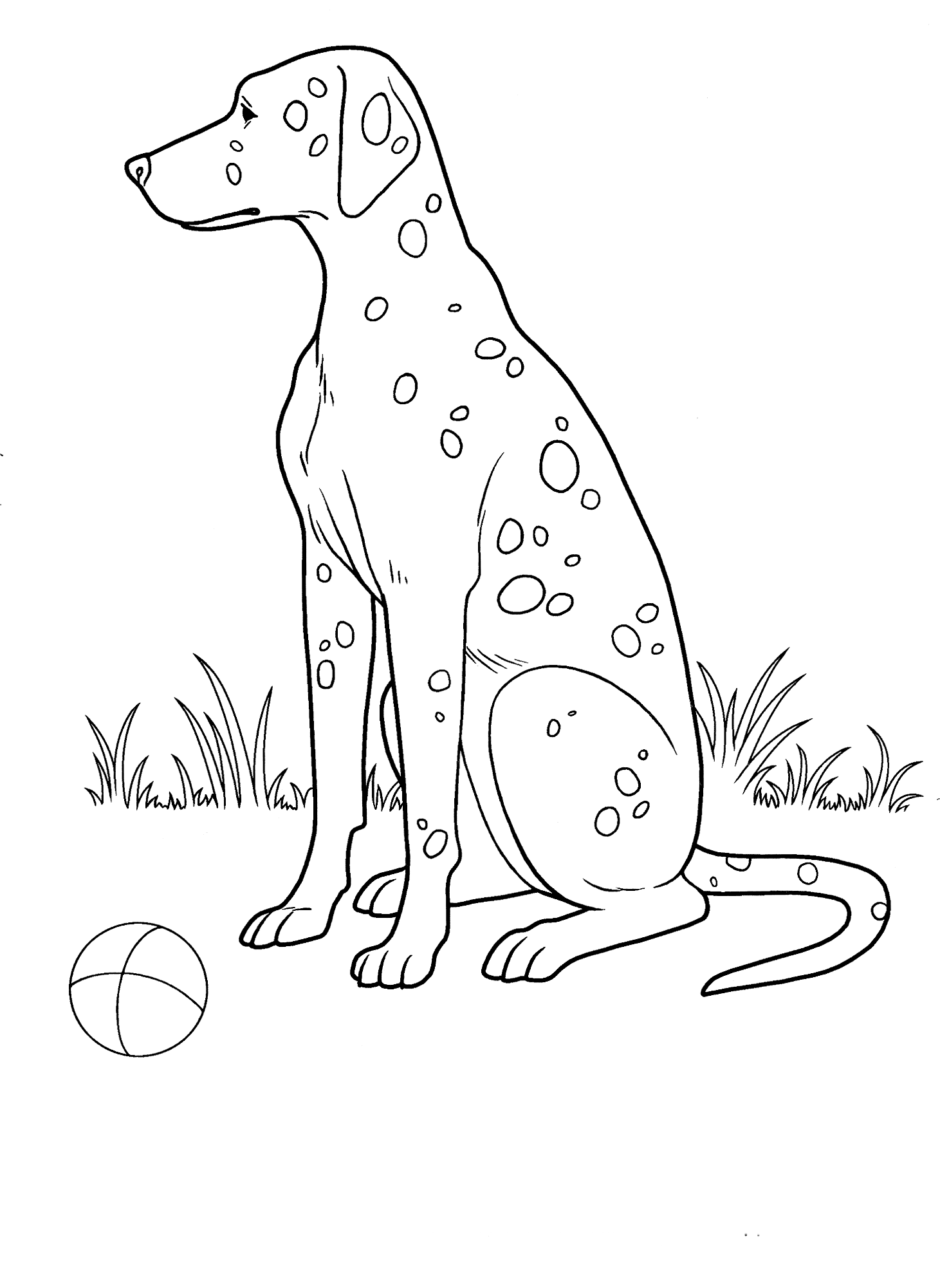 Malvorlagen Spotted dog