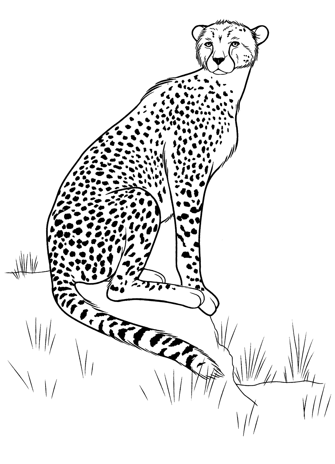 Malvorlagen - Cheetah auf der Jagd