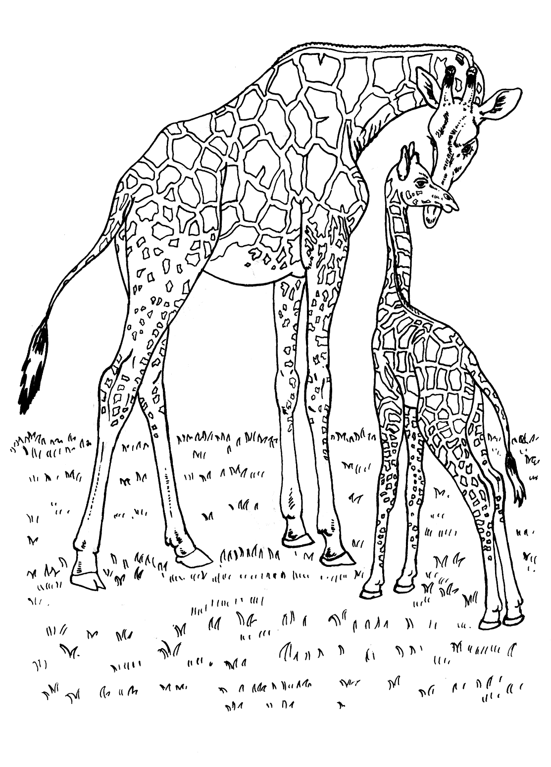 malvorlagen  giraffen in afrika