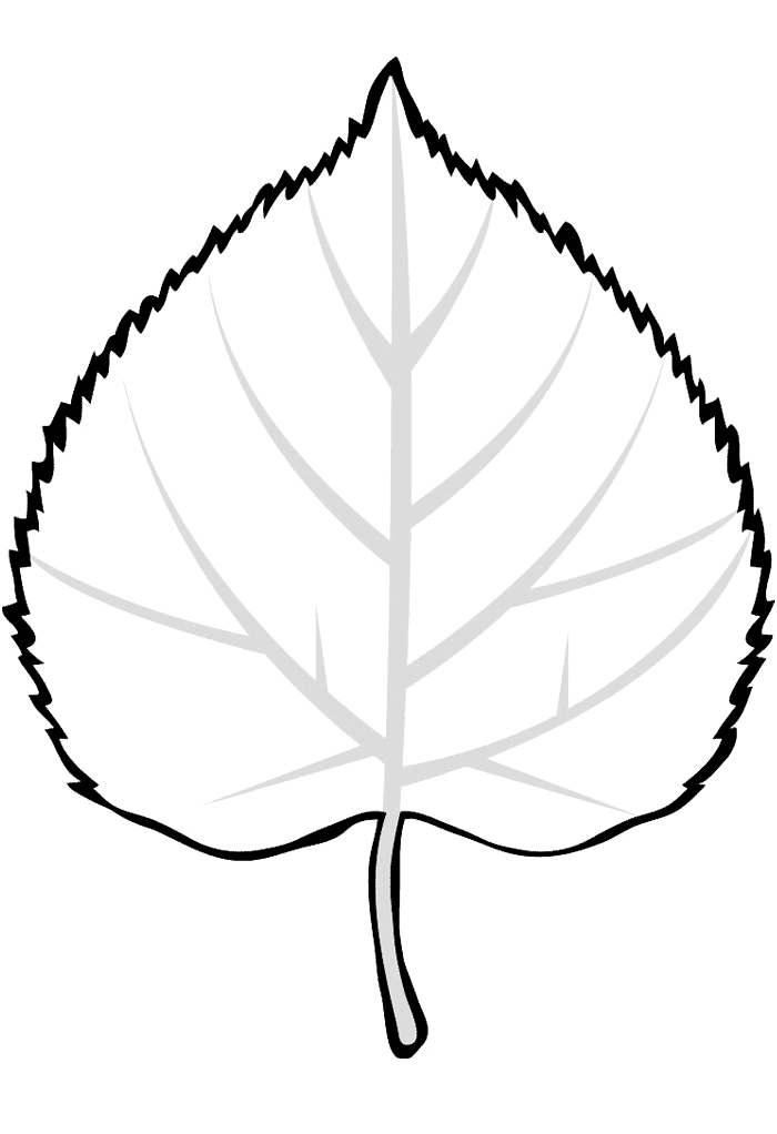 Malvorlagen - Blatt Linden