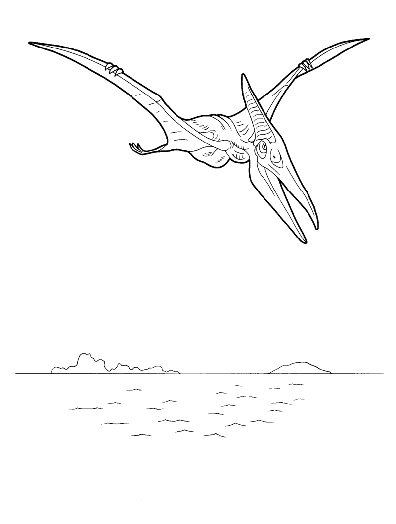 malvorlagen  pteranodon