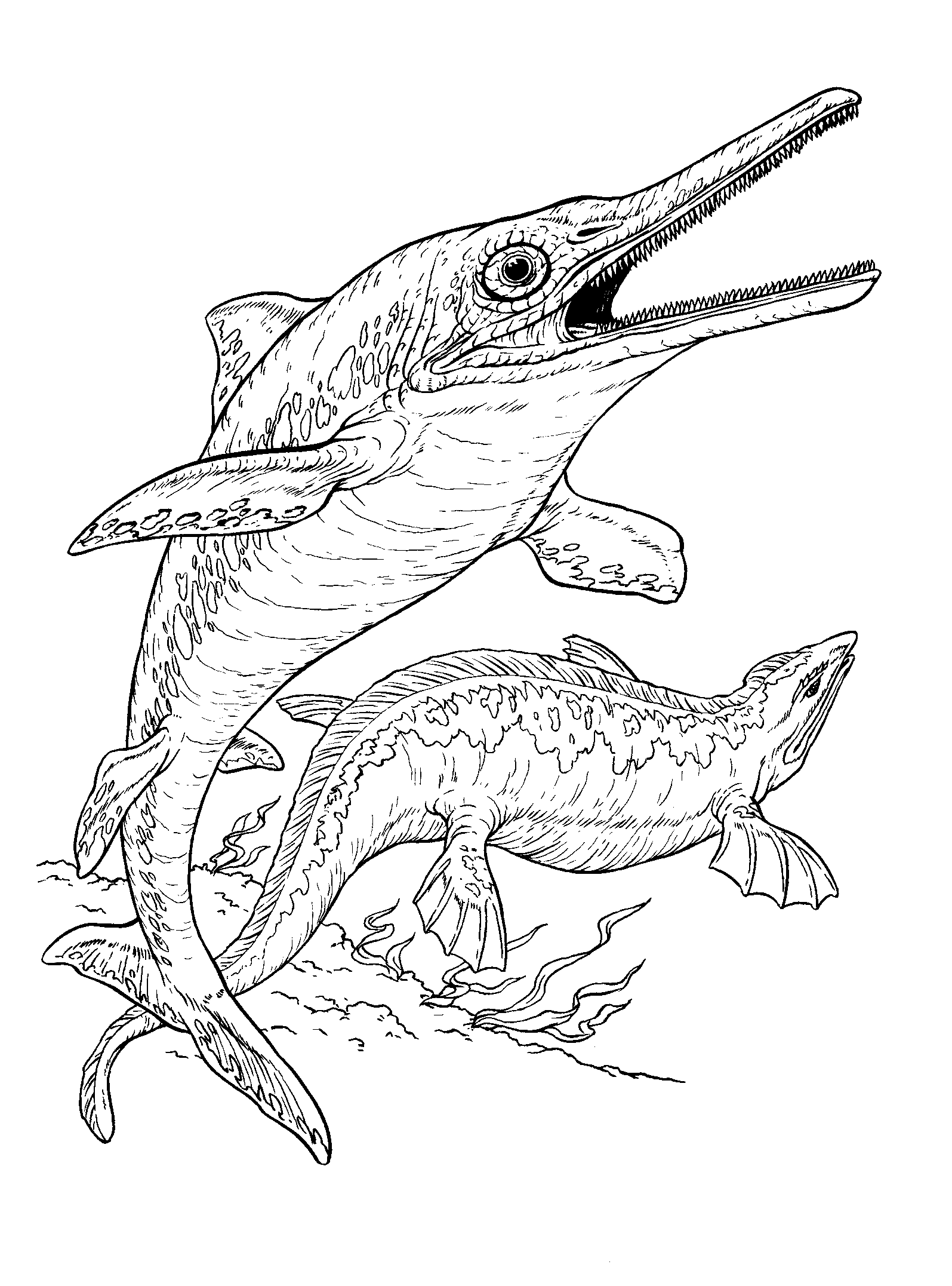 Malvorlage Elasmosaurus