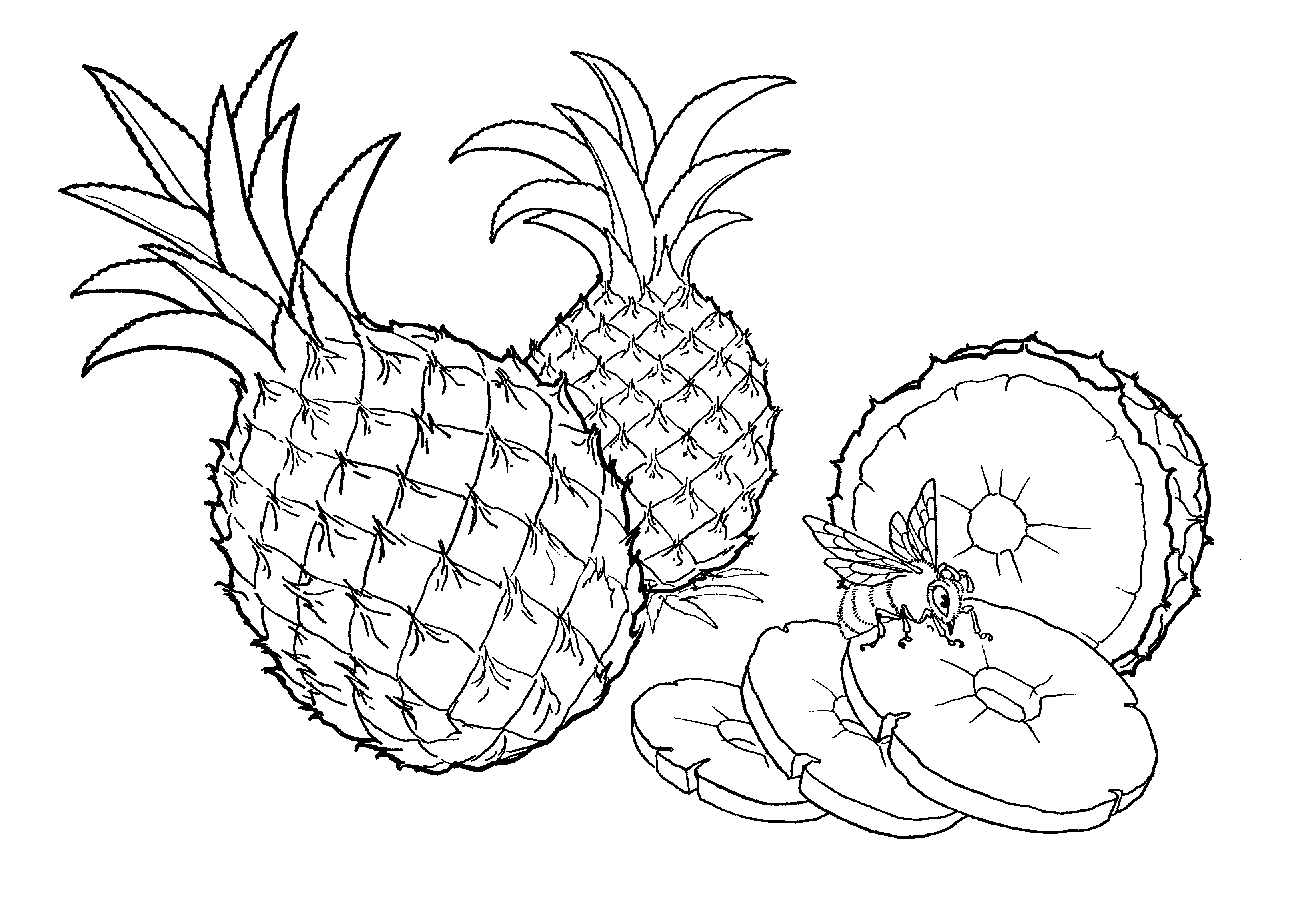 Malvorlagen   Natürliche Ananas