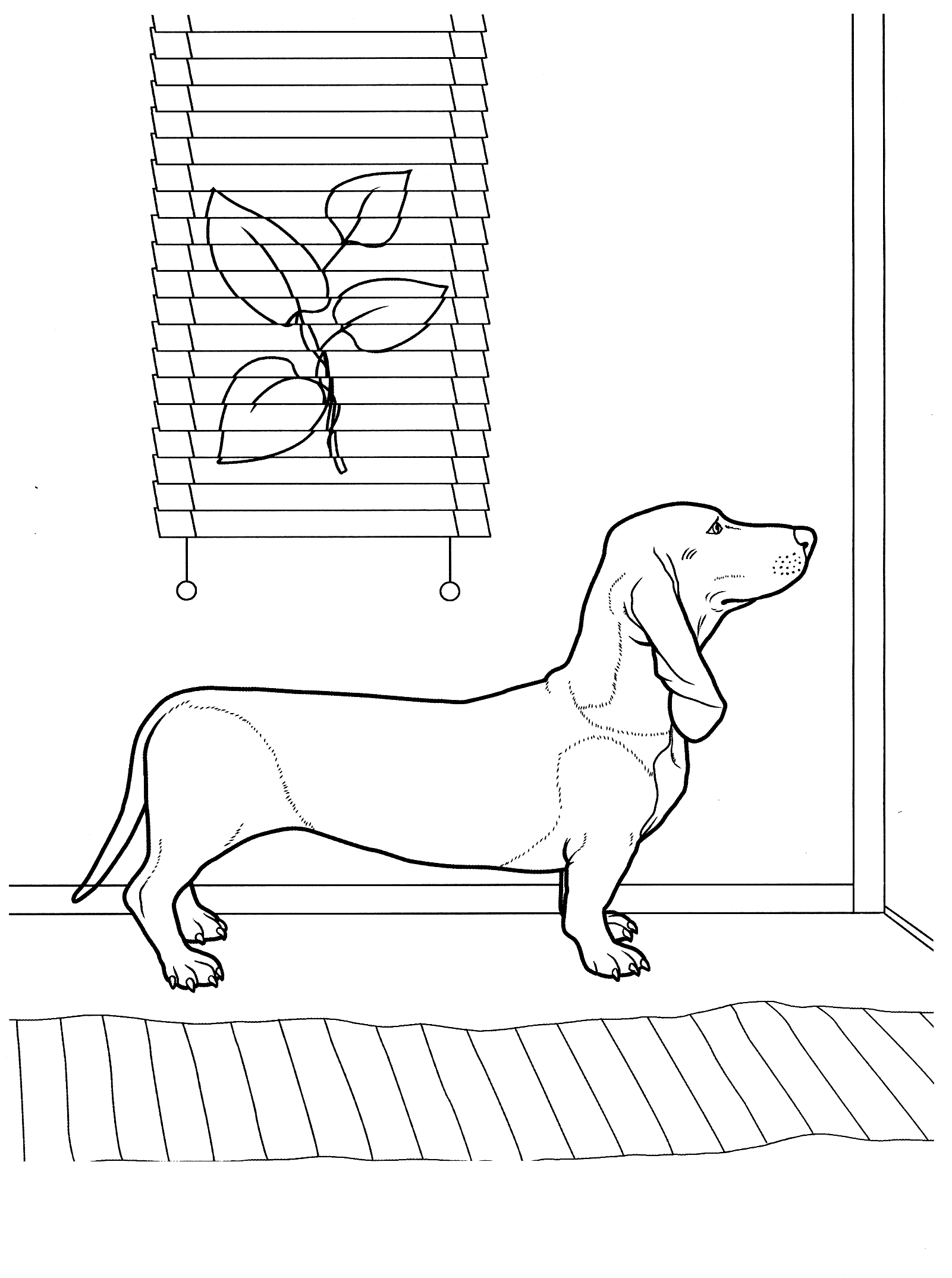 Malvorlagen Dachshund