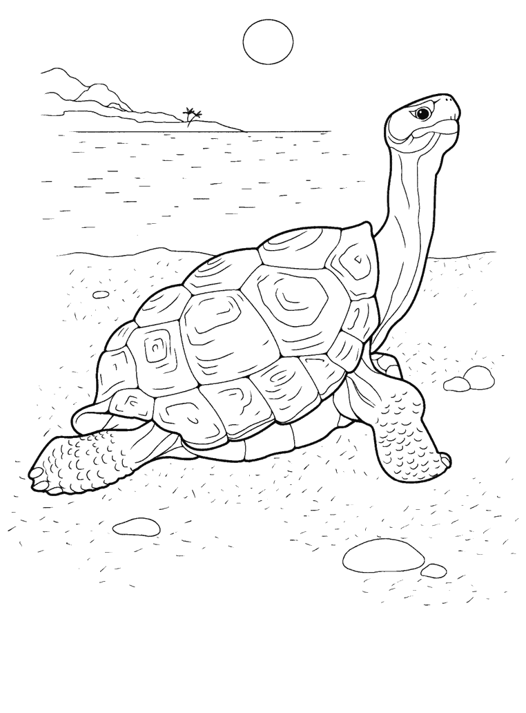 Malvorlagen Turtle auf dem Meer