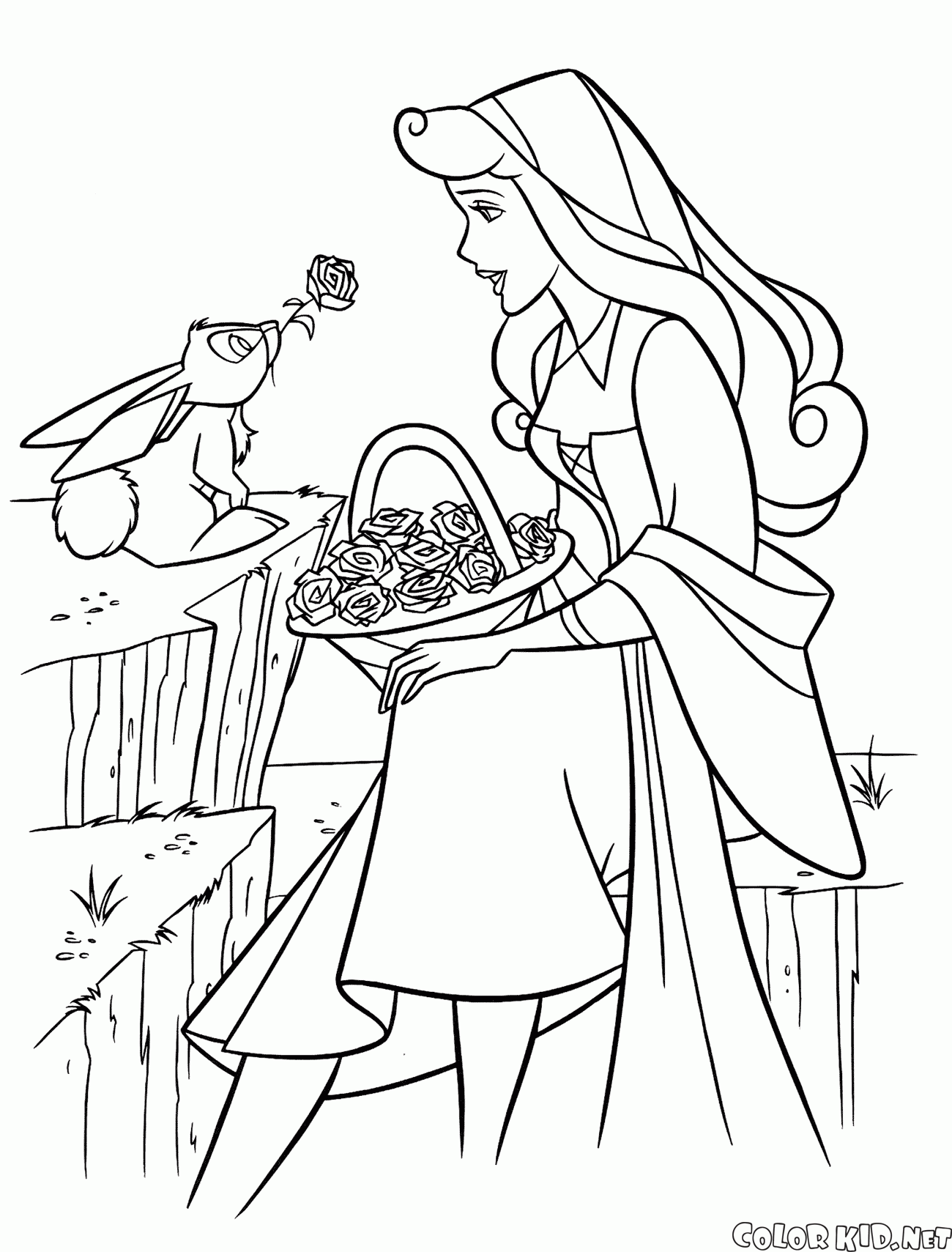 Prinzessin Aurora und der Hase