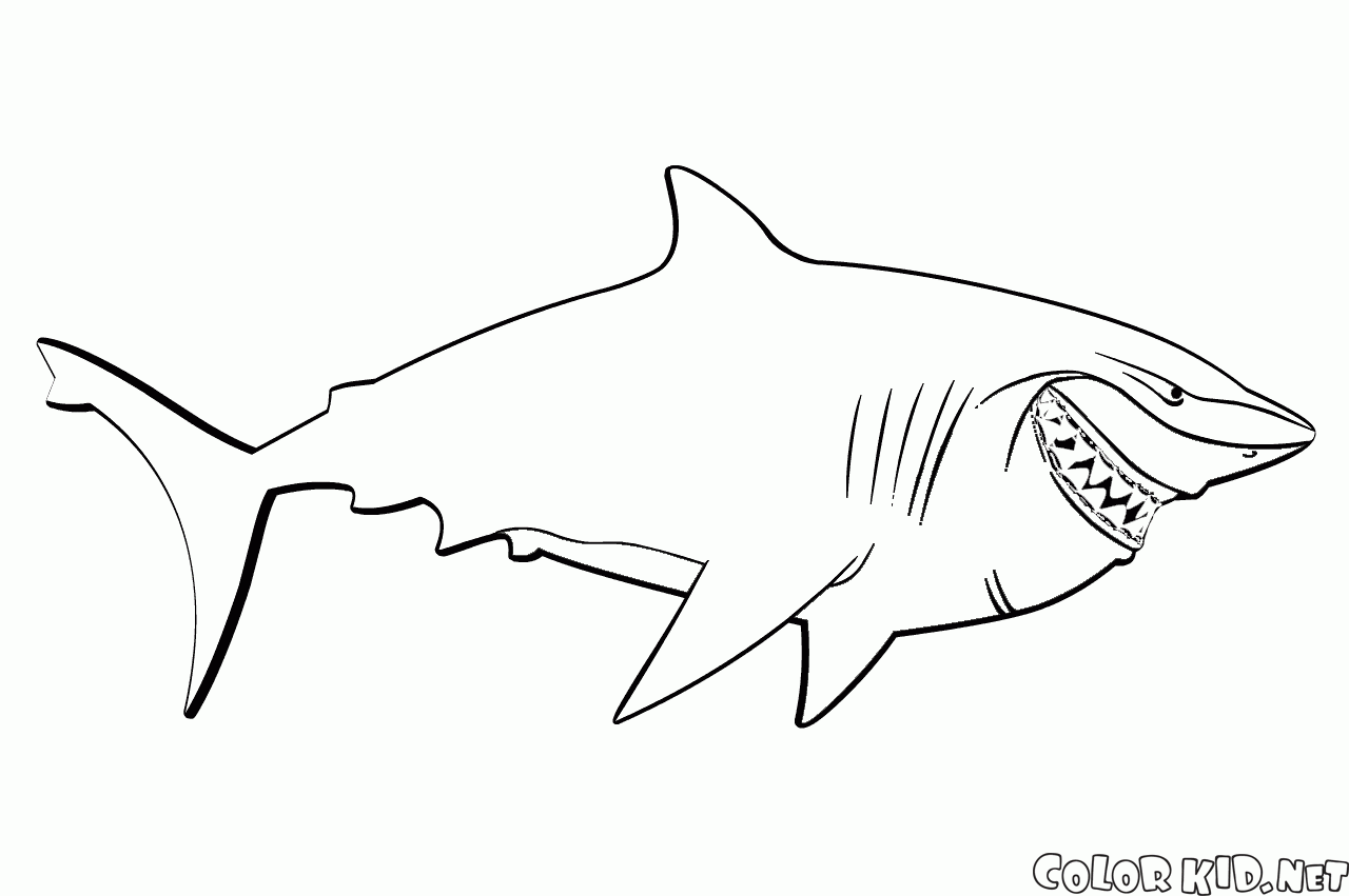 Bruce der Hai