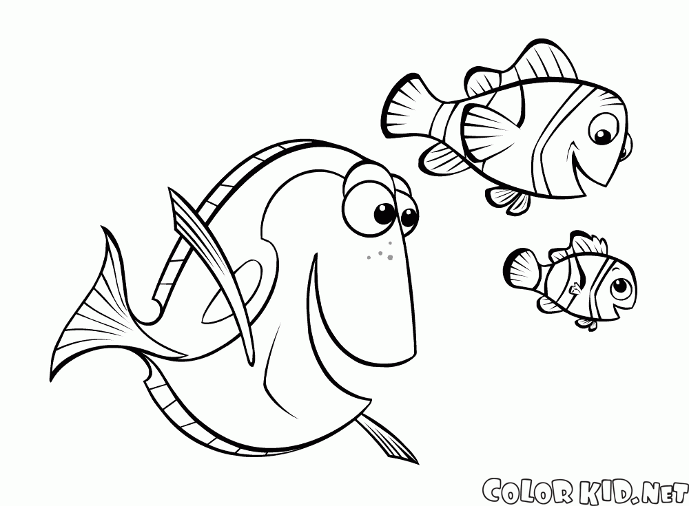 Dory, Nemo und Papa