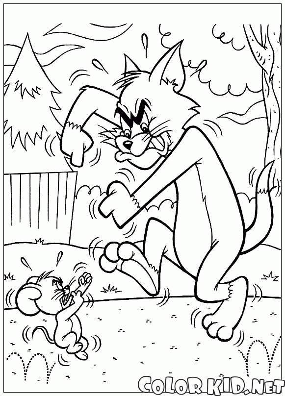 Sparring Tom und Jerry