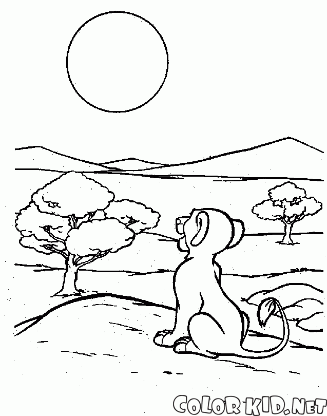 Simba und die Sonne