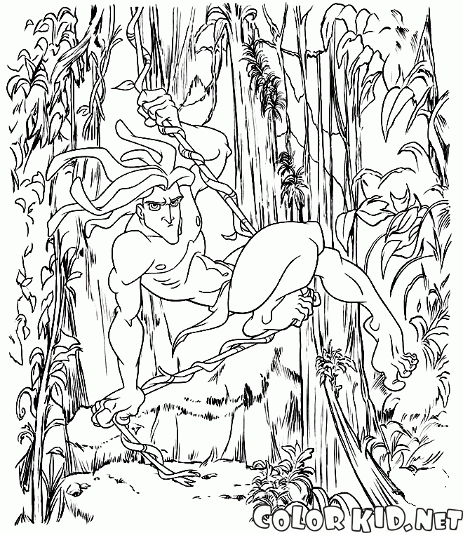 Tarzan auf einem Weinstock