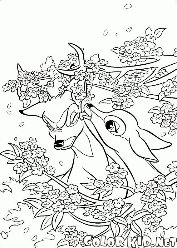 Bambi mit einem Freund