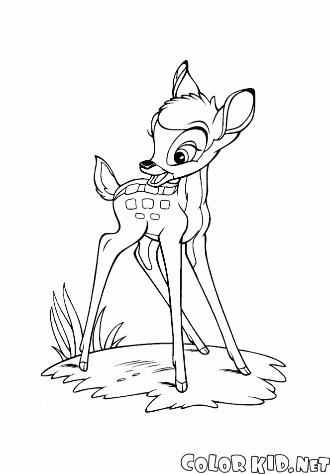 Bambi in der Wiese