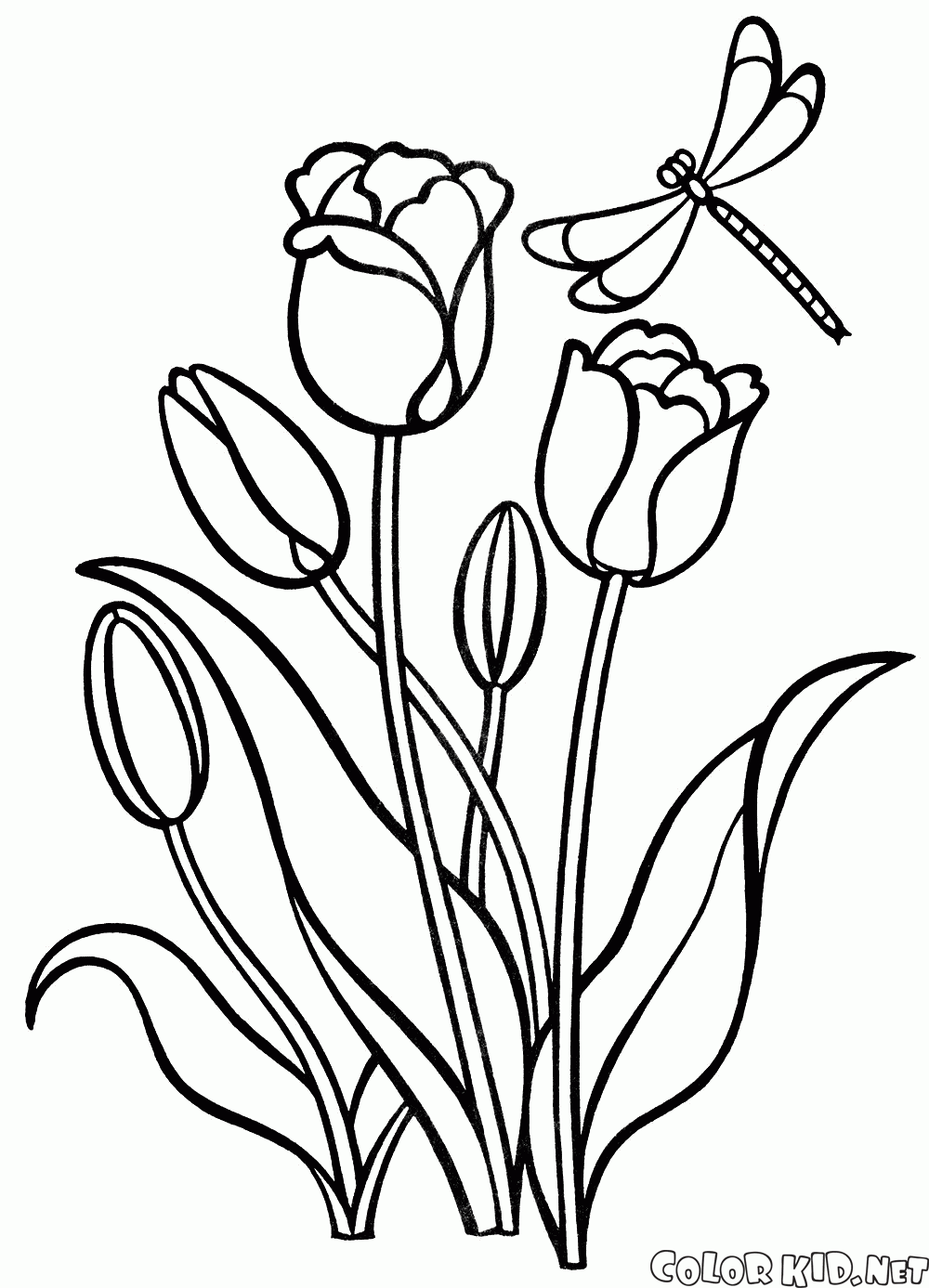 Malvorlagen - Tulpen