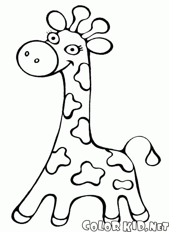 Giraffe zu Fuß