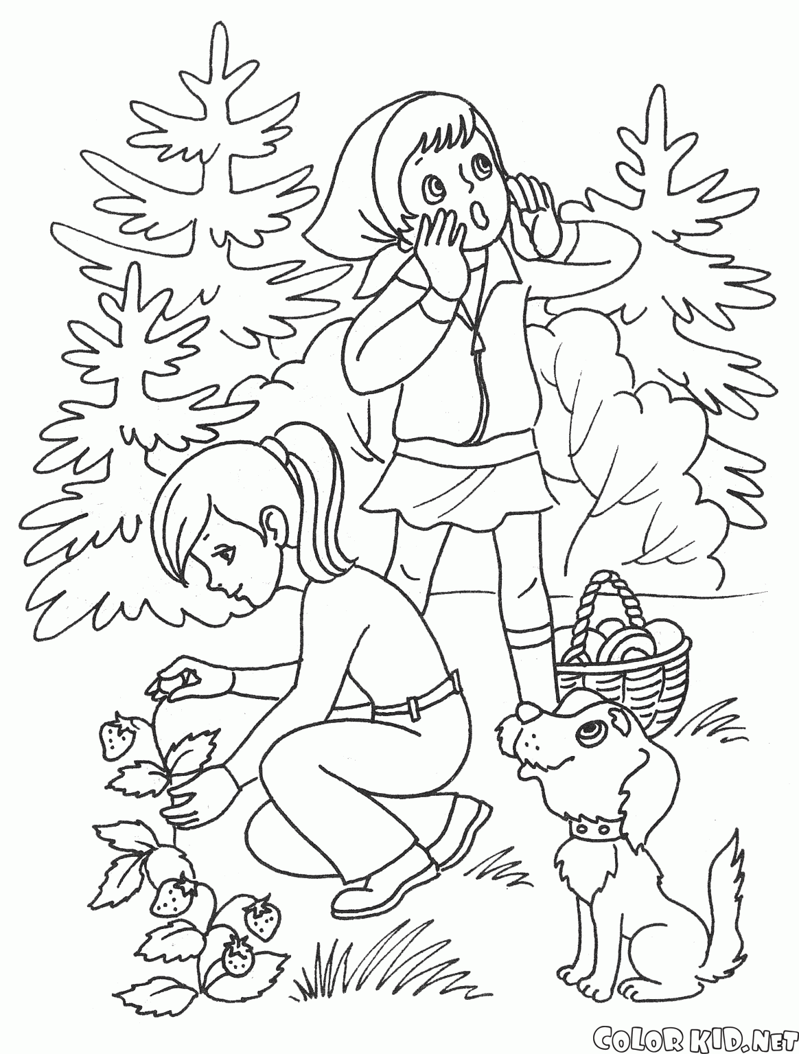 Kinder im Sommer im Wald