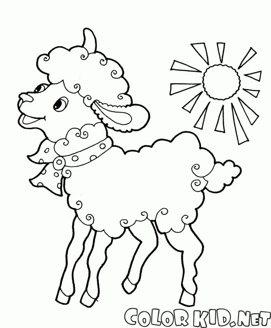 Schaf mit Bogen
