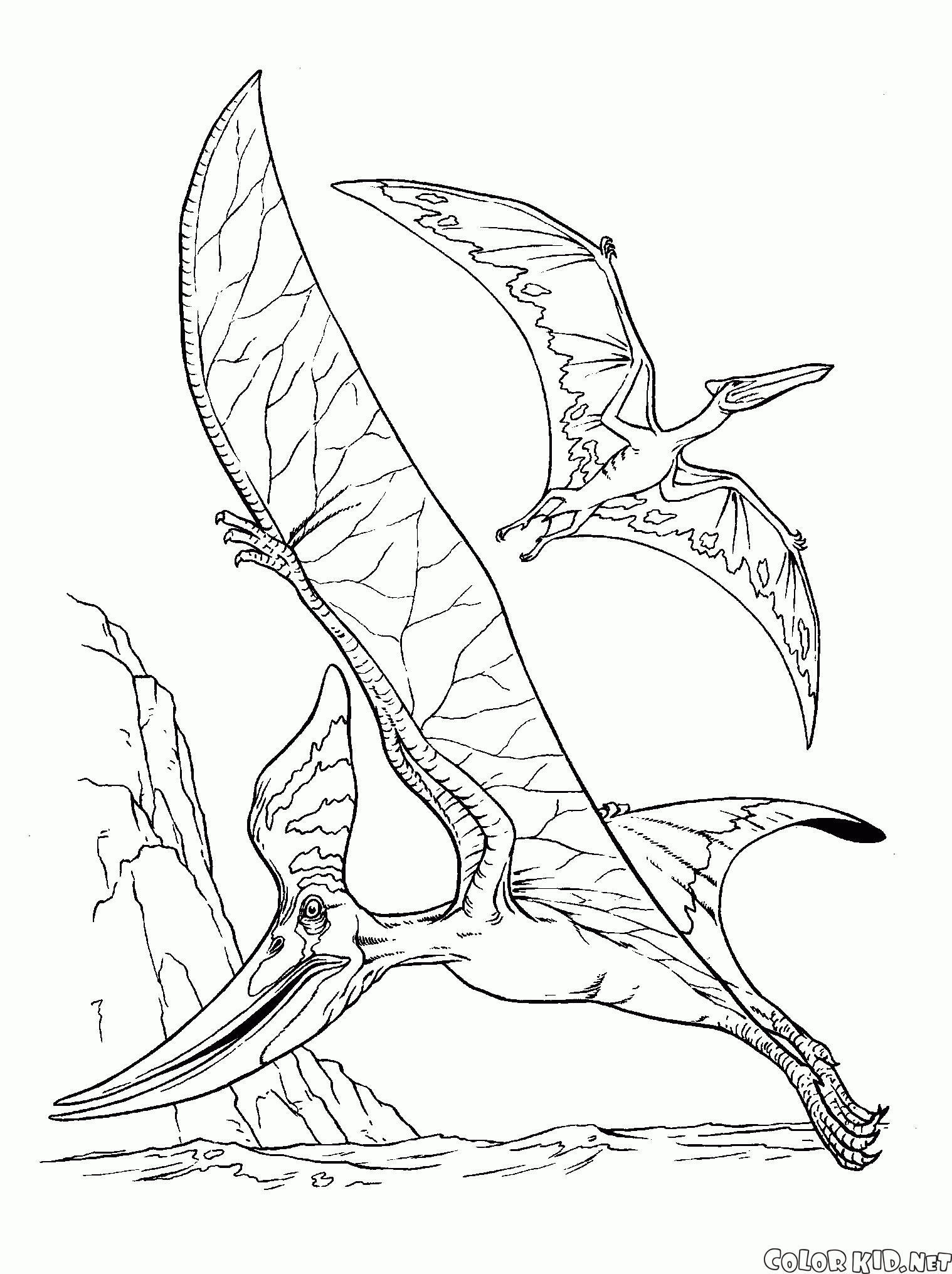 Pteranodon und eine pterodactyl