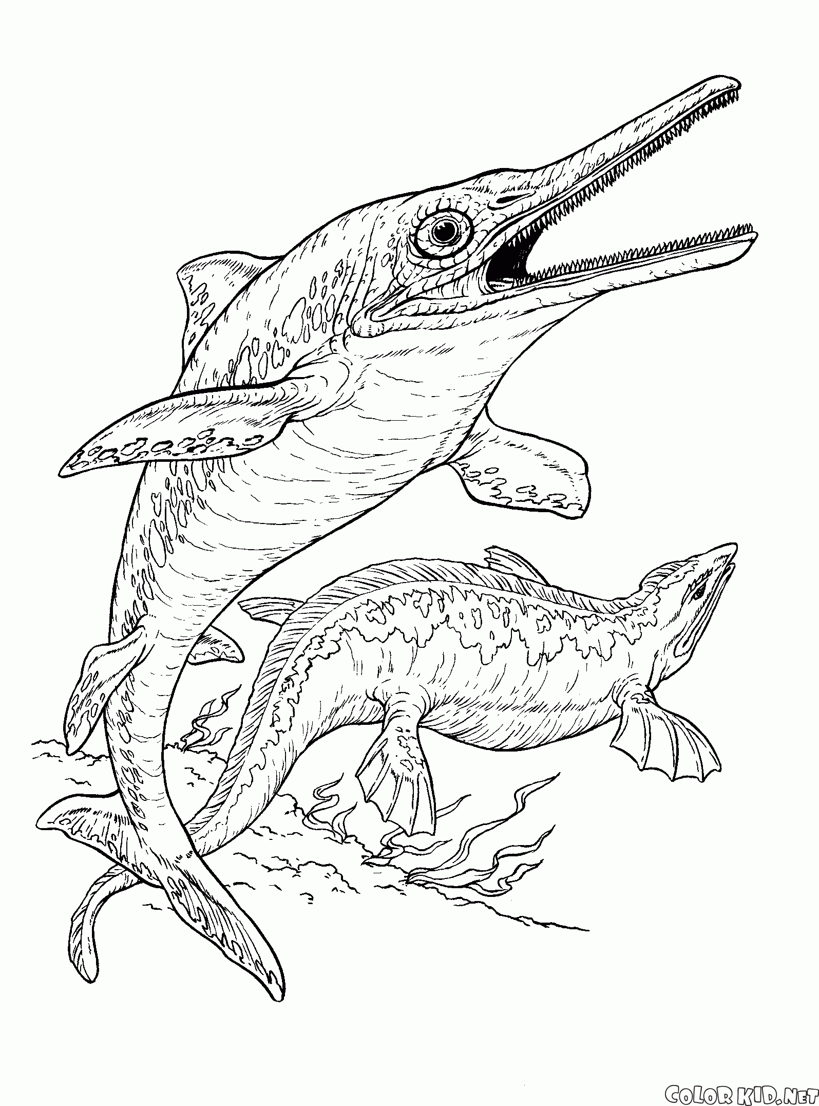 Ichthyosaur und plesiosaur