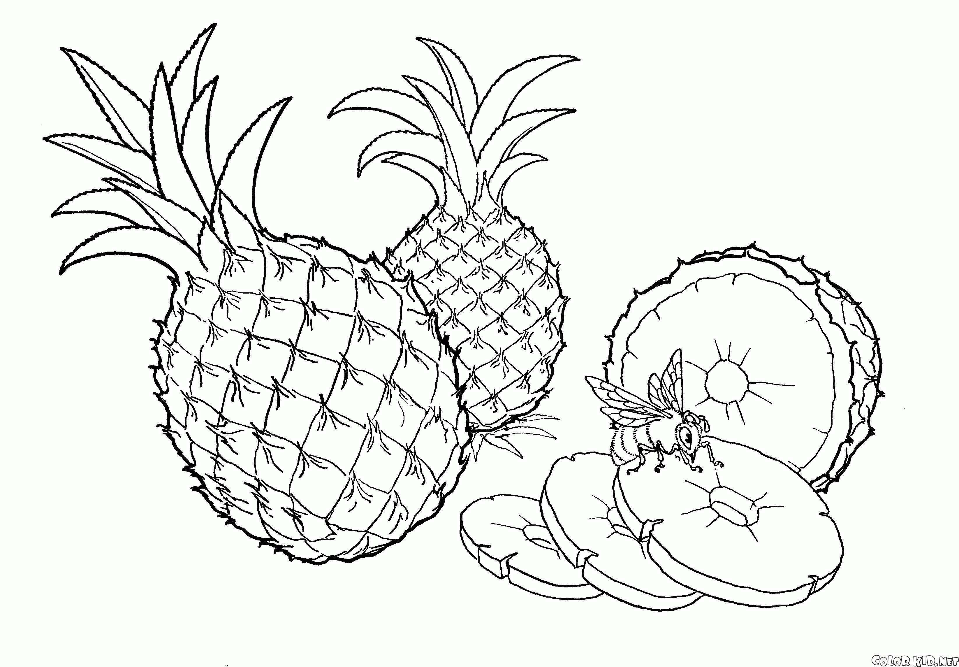 Natürliche Ananas