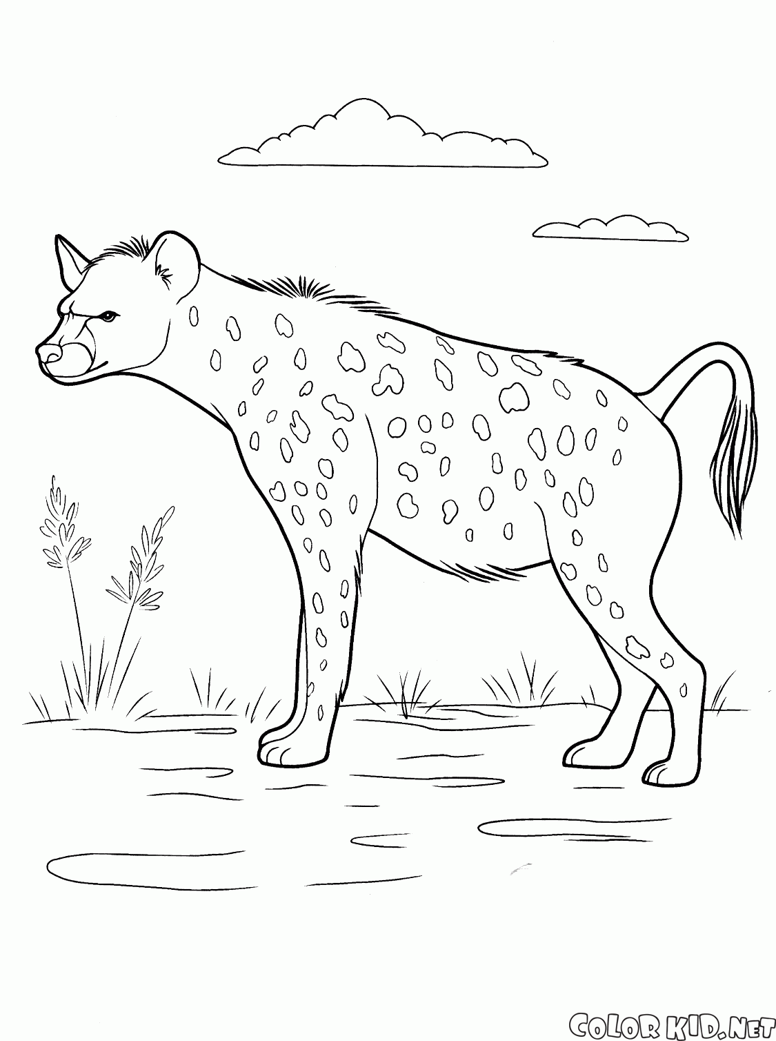 Hyena auf der Jagd