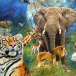 Tierwelt