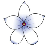 Blumen