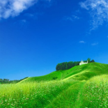 Jahreszeiten: Sommer