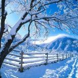 Jahreszeiten: Winter