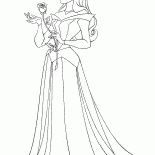 Aurora und Rose