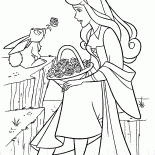 Prinzessin Aurora und der Hase