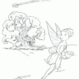 Iridessa und Comet