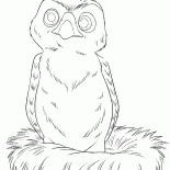Wenig Hawk - Hannah