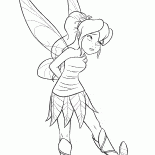 Disney-Fee-