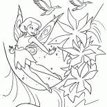 Fairy und Blumen