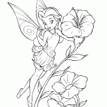 Garten-Fee Rosetta