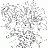 Maus erschreckt