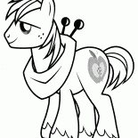 Brave pony