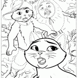 Sky und der gestiefelte Kater