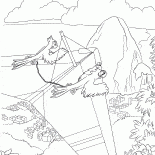Drachenflieger