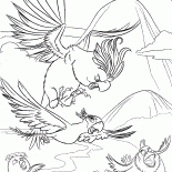 Jagd nach einem Vogel