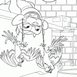 Hund liegt auf dem Rücken