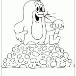 Lustige Mole