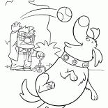 Doug mag den Ball