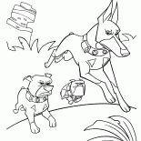Drei Hunde