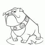 Bulldog
