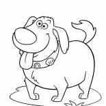 Fröhlich Hunde Doug