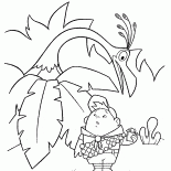 Big Bird