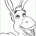 Donkey